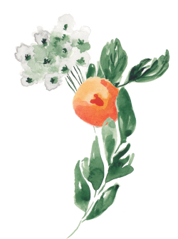 modal-flower