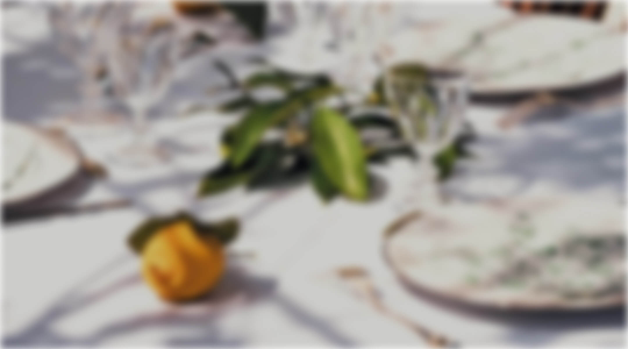 Akra Didim Gastronomi Banner D