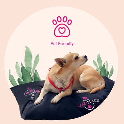 Akra V Pet Friendly Mainpage Card